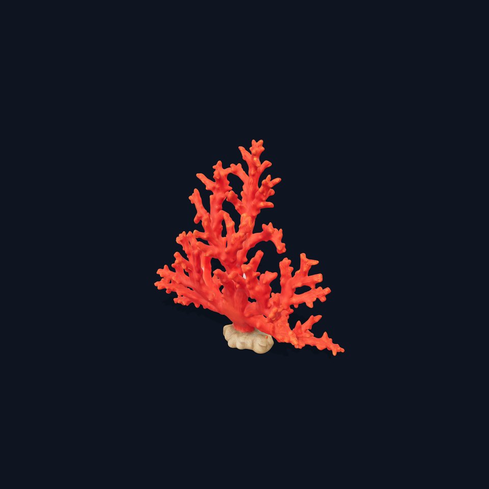 Vibrant Coral Reef model pack