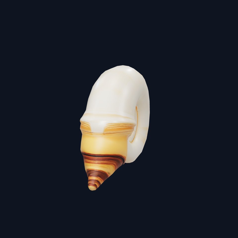 Seashell Spiral model pack