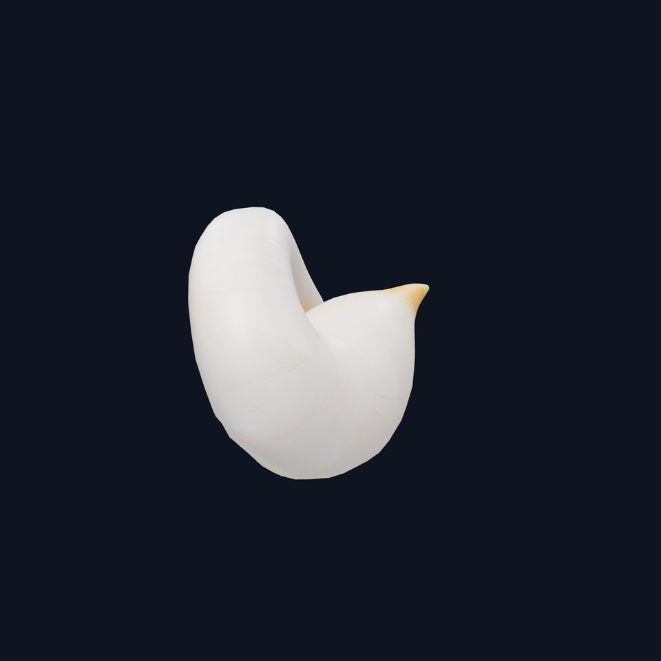 Elegant Spiral Seashell model pack