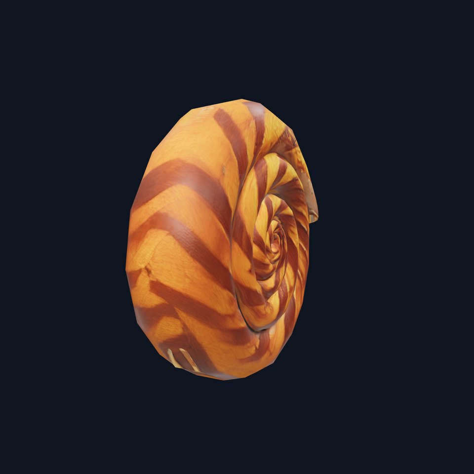 Spiral Shell Wooden model pack