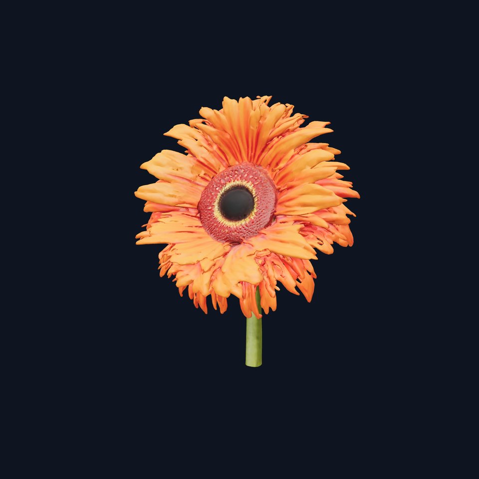 Orange Gerbera Flower model pack