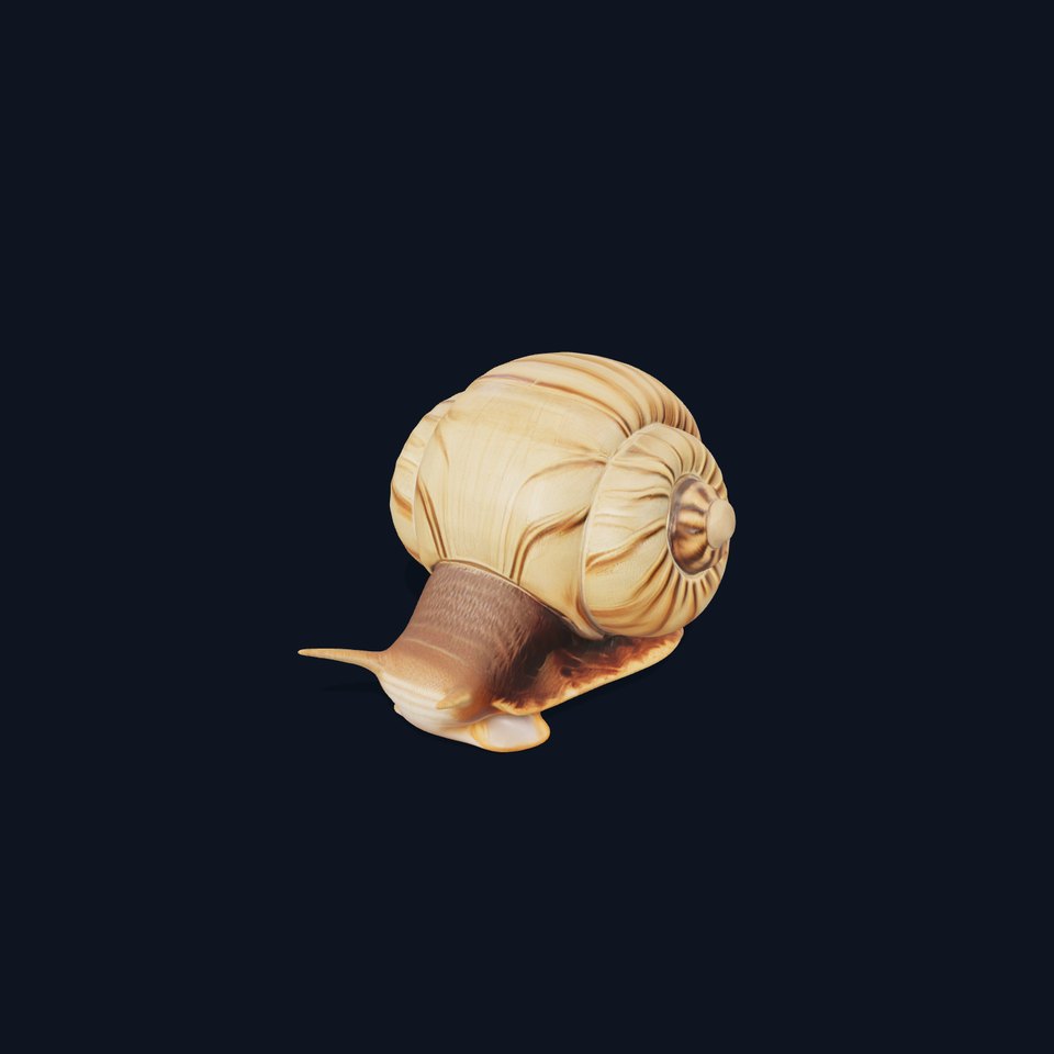 Natural Snail Shell model pack viewer poster