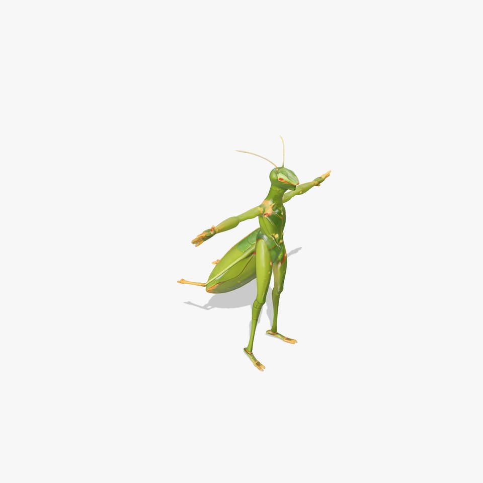 Vibrant Praying Mantis model pack