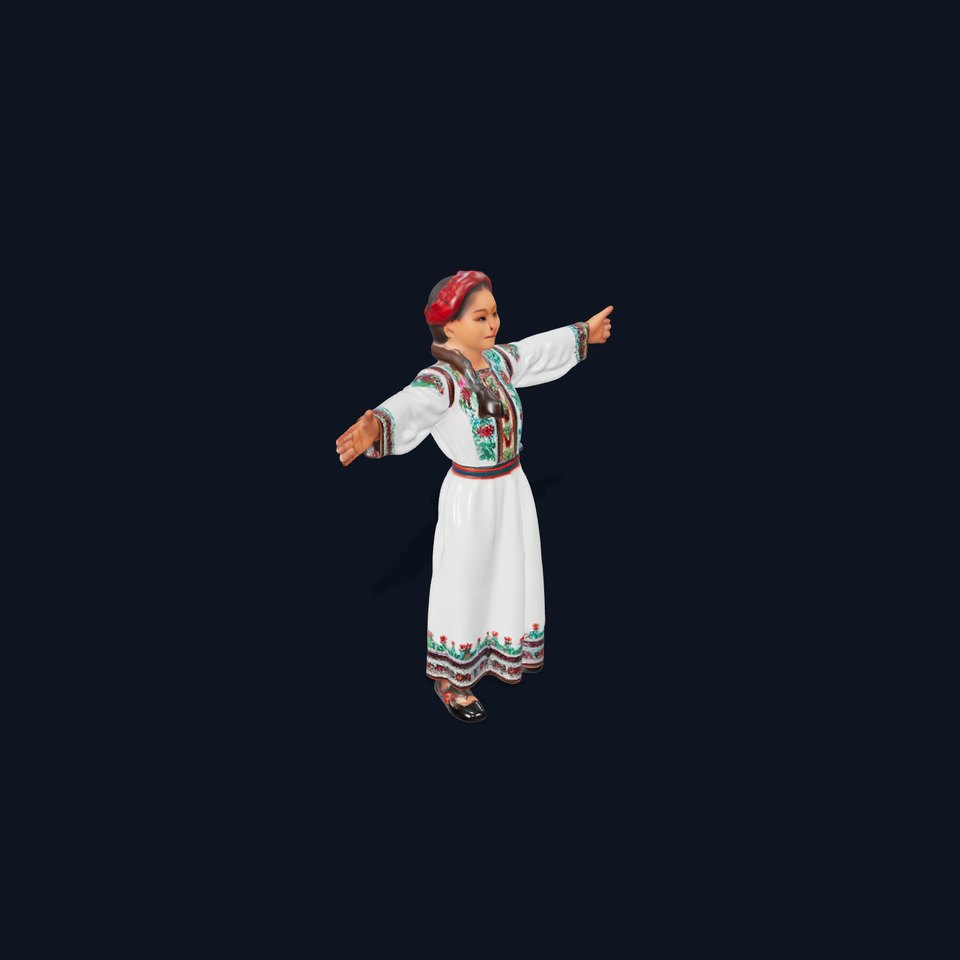 Traditional Embroidered Dress model pack