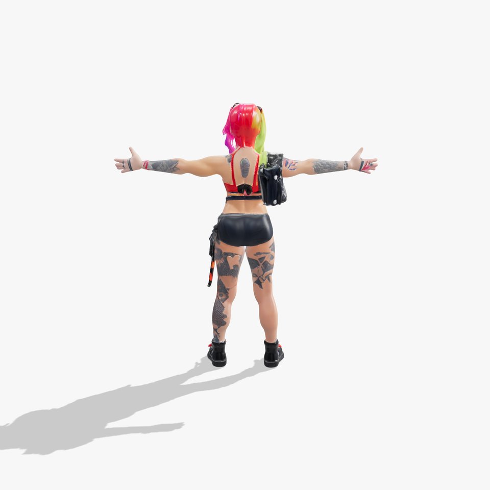 Vibrant Punk Character model pack