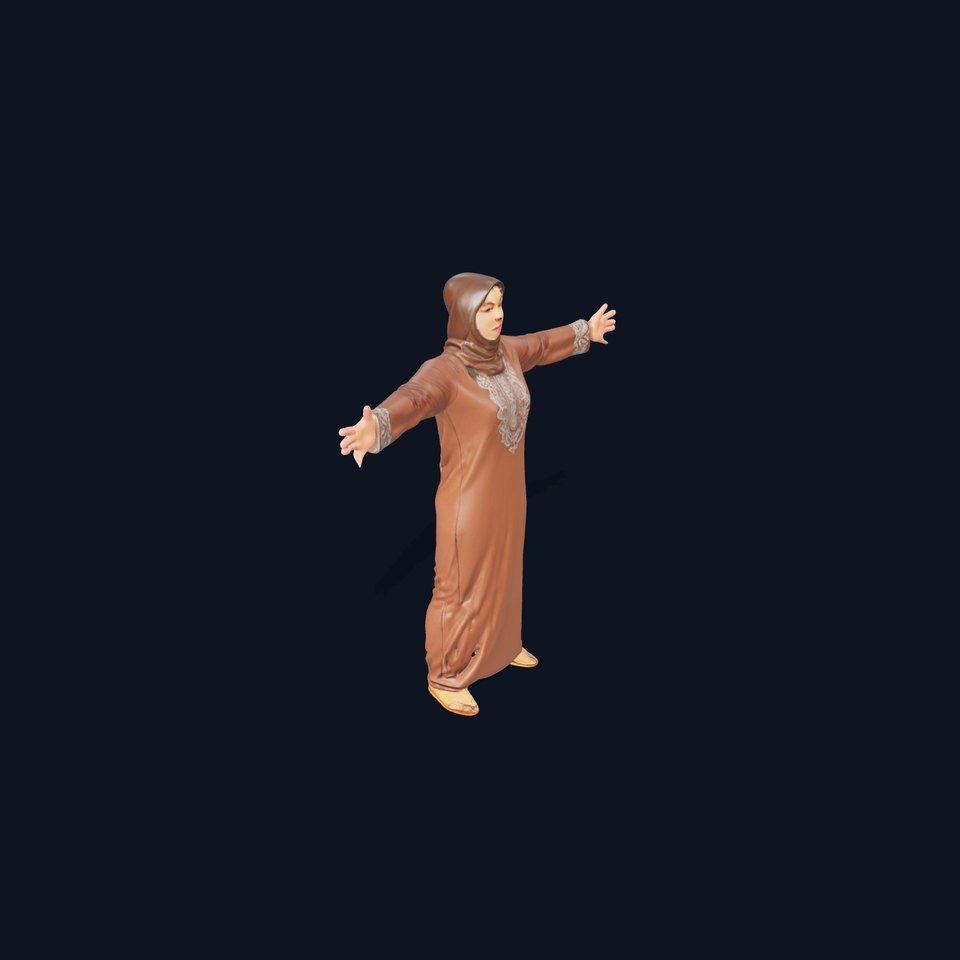 Elegant Brown Dress model pack