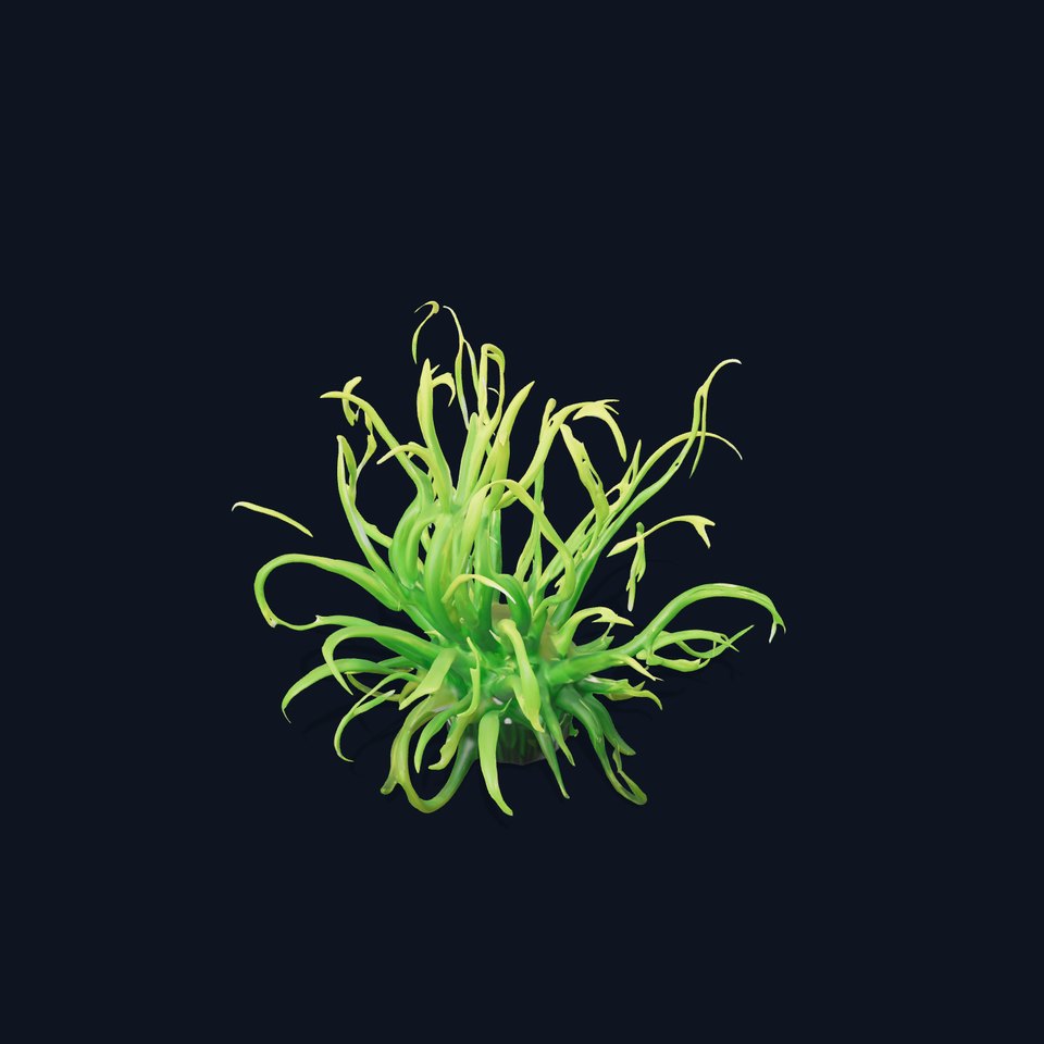 Vibrant Green Sea Anemone model pack viewer poster