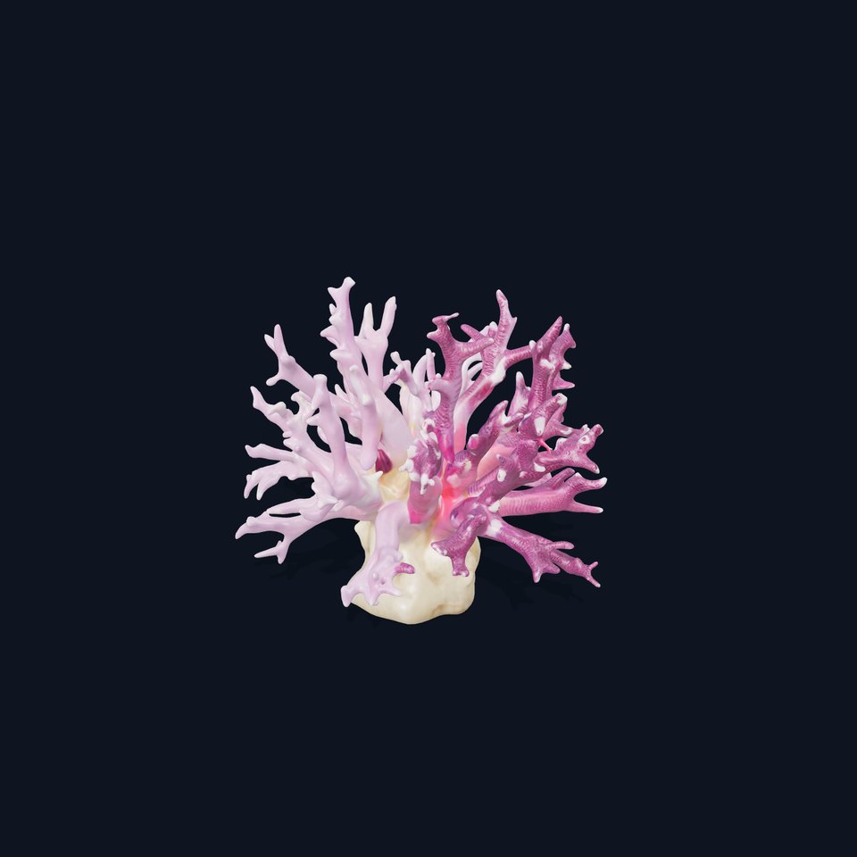 Vibrant Coral Reef model pack