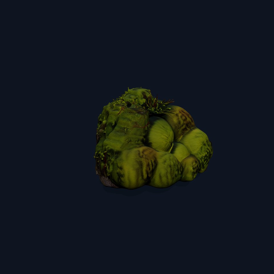 Lush Forest Moss model pack