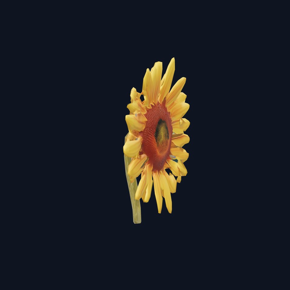 Radiant Sunflower model pack
