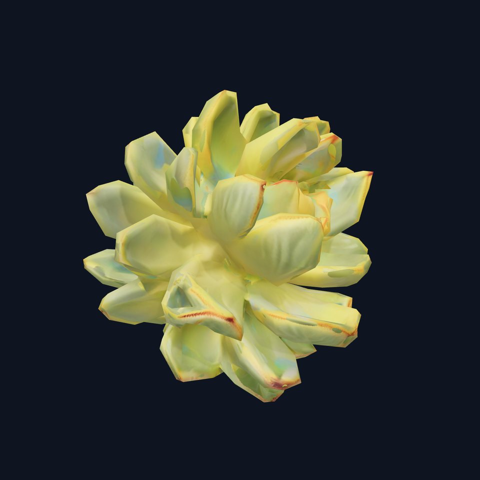 Green Succulent Plant model pack