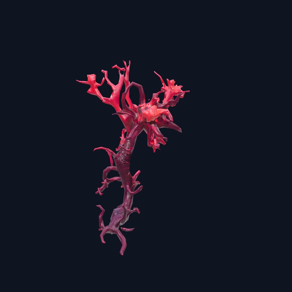 Vibrant Coral Tree model pack