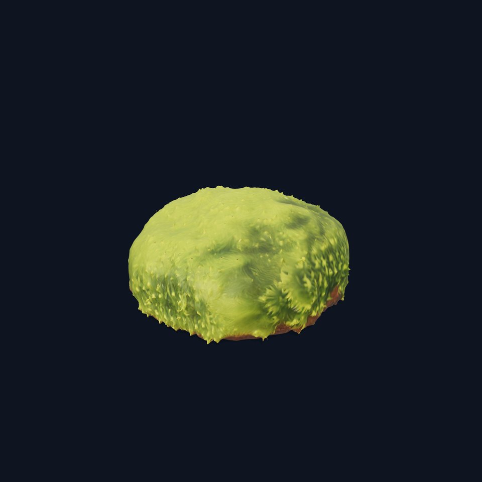 Green Moss Cushion model pack viewer poster