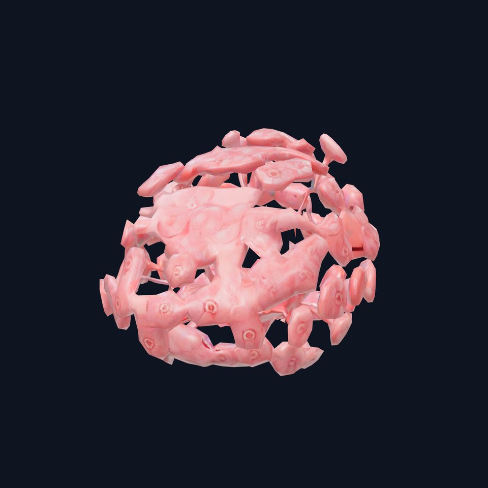 Soft Pink Floral model pack