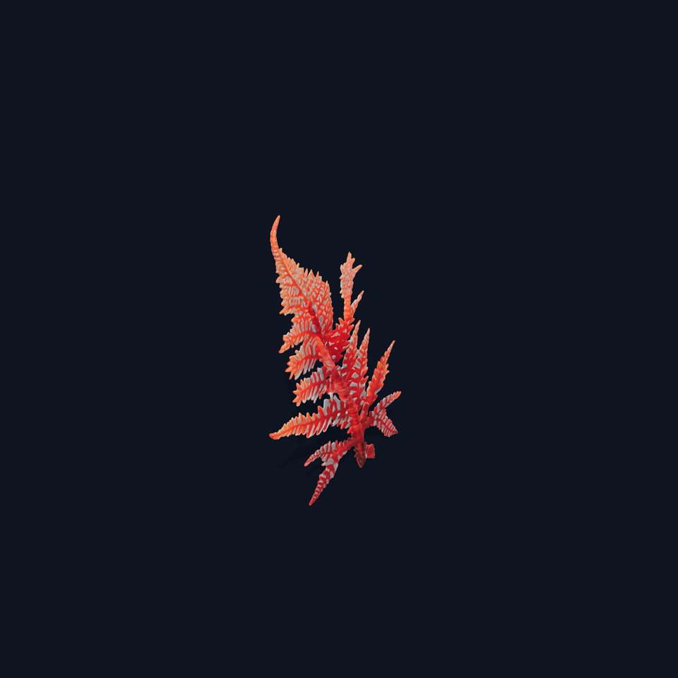 Red Fern model pack