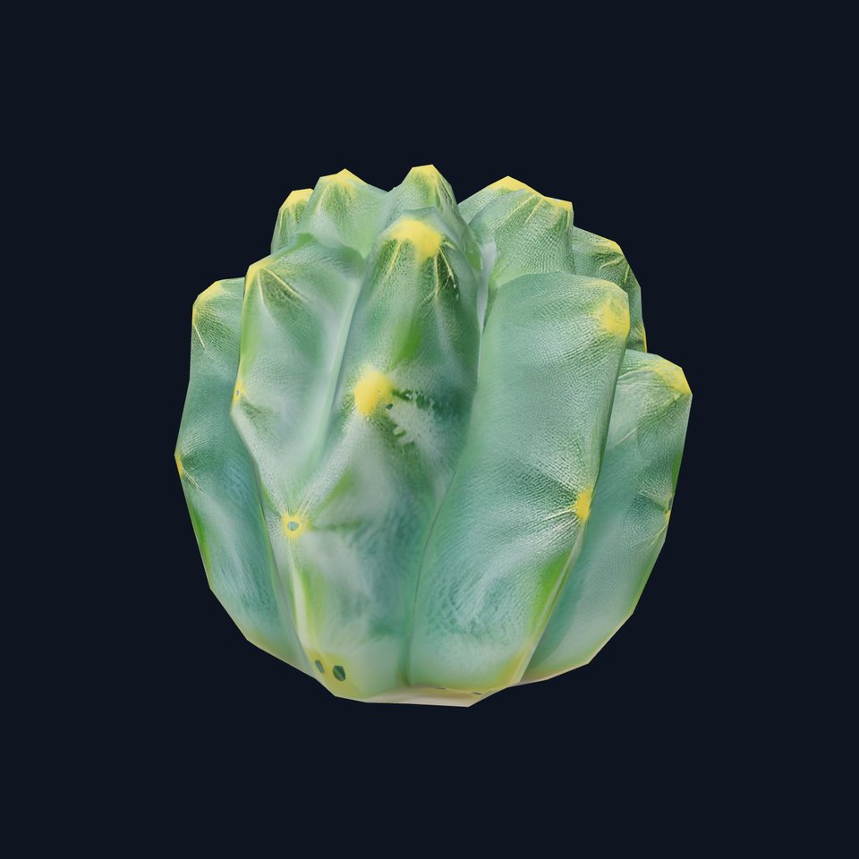 Round Green Cactus model pack