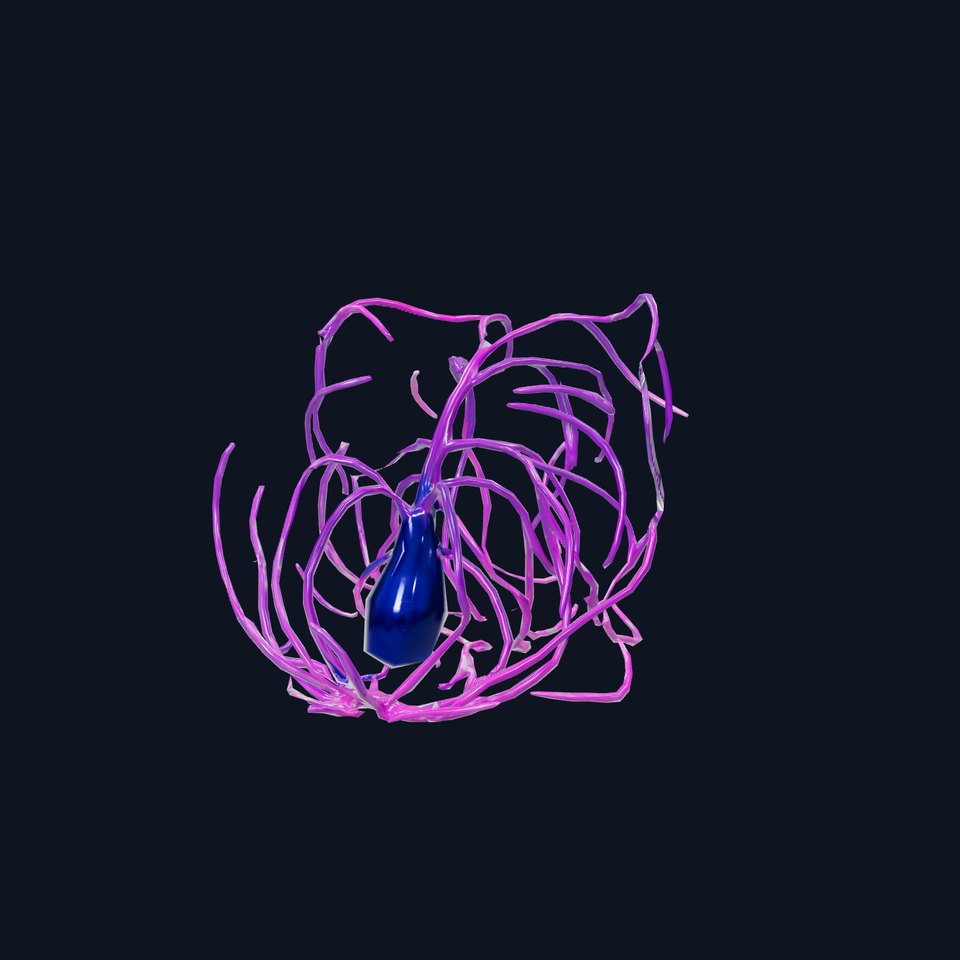 Vibrant Purple Tentacle model pack