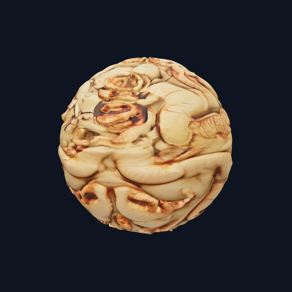 Organic Worm Texture HQ PBR Textures Set