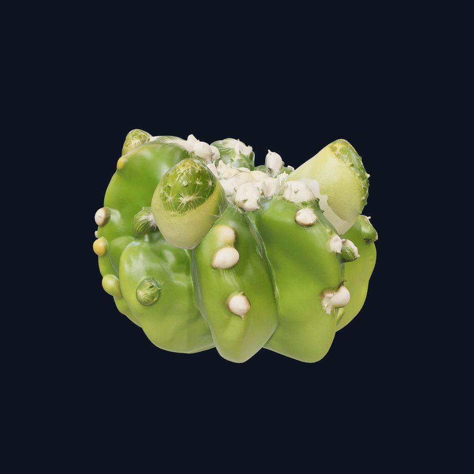 Green Barrel Cactus model pack