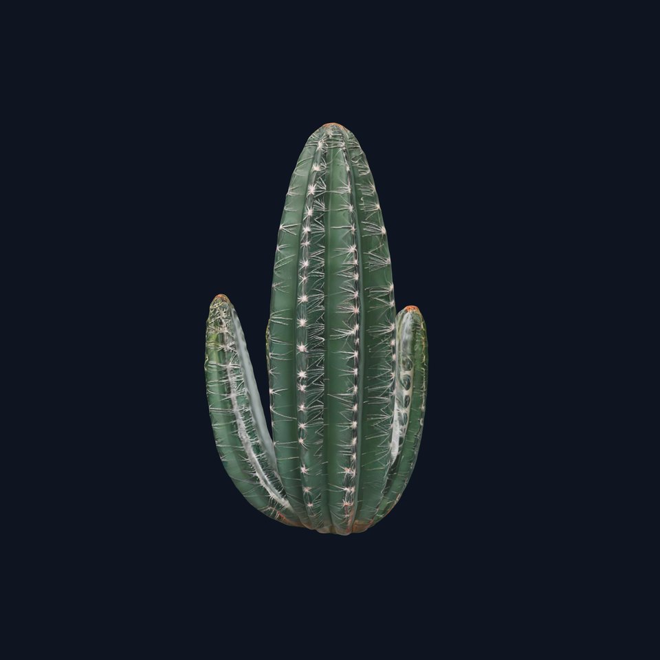 Green Desert Cactus model pack