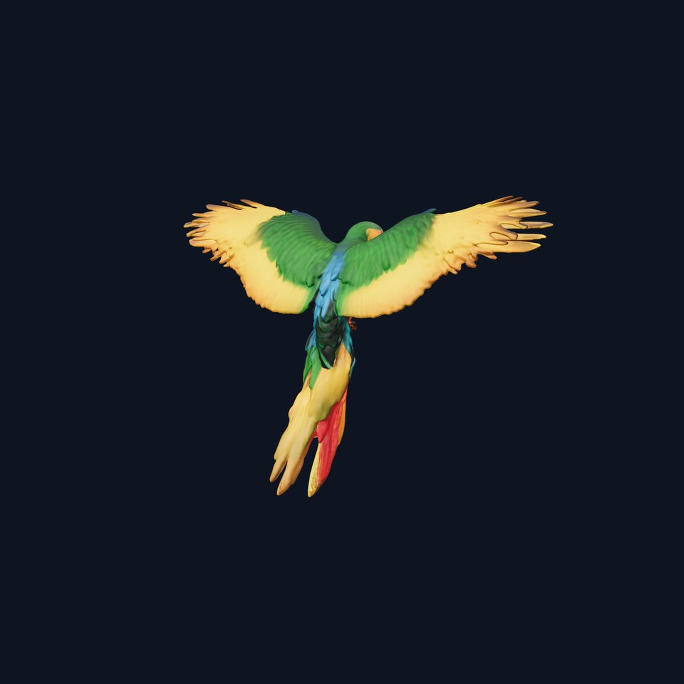 Colorful Parrot model pack