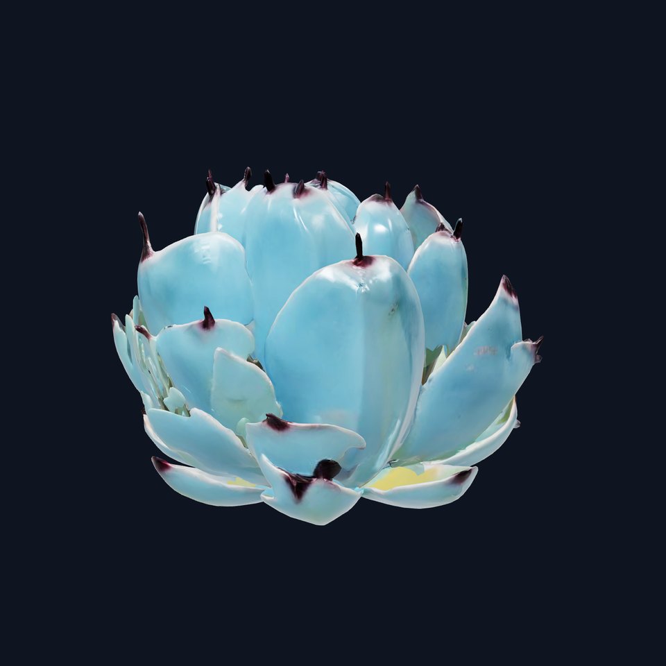 Blue Agave Plant model pack
