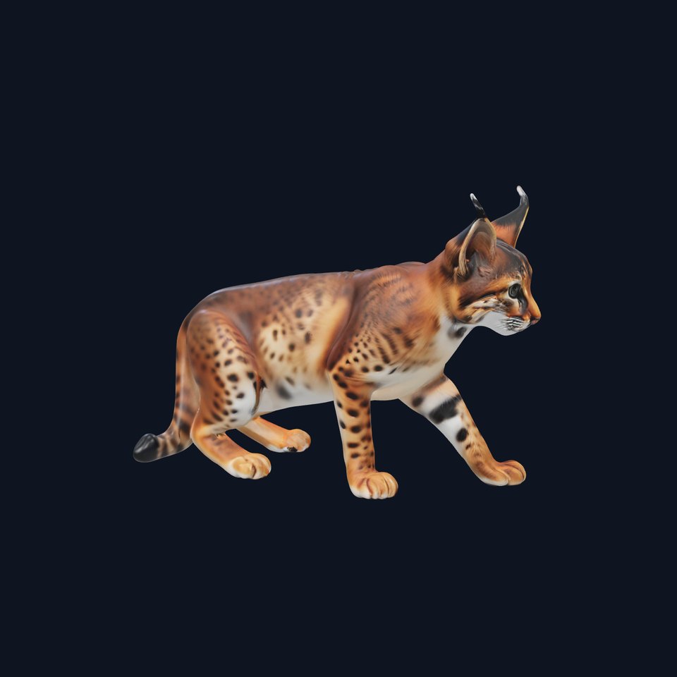 Elegant Lynx Cat model pack