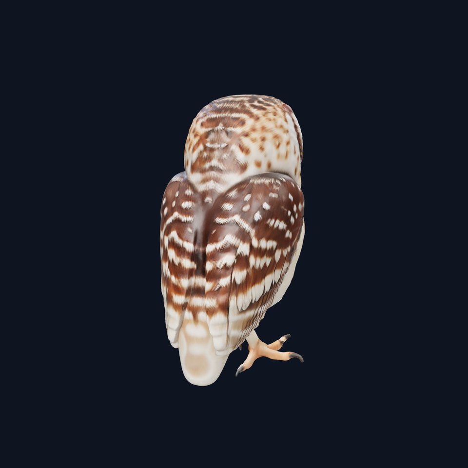 Spotted Owl Figurine model pack