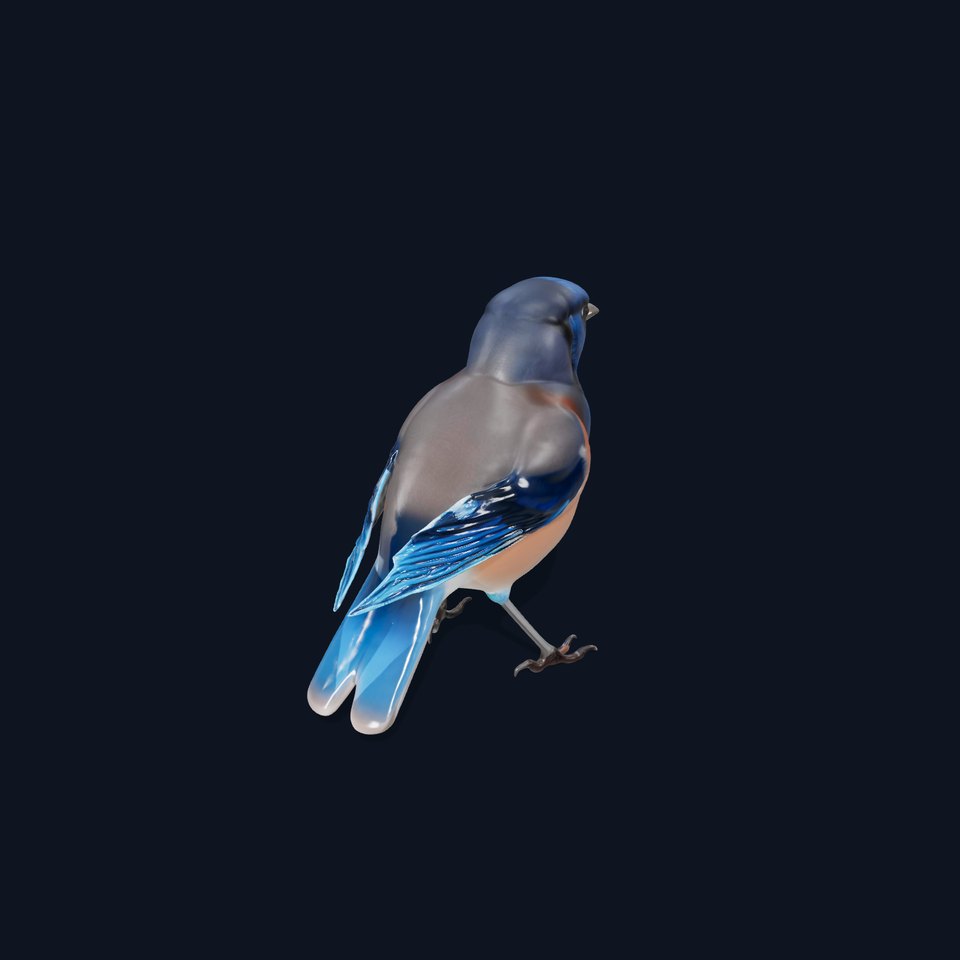 Azure Blue Jay model pack viewer poster