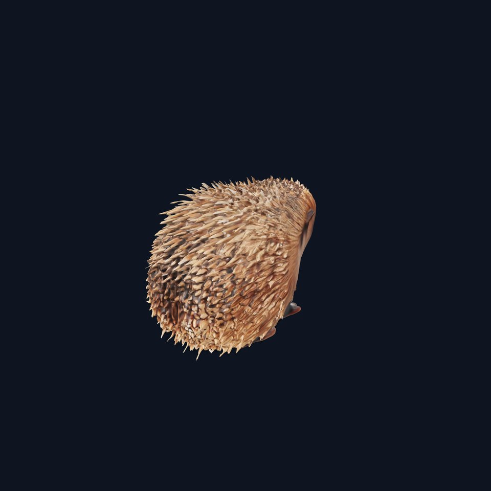 Spiky Hedgehog model pack