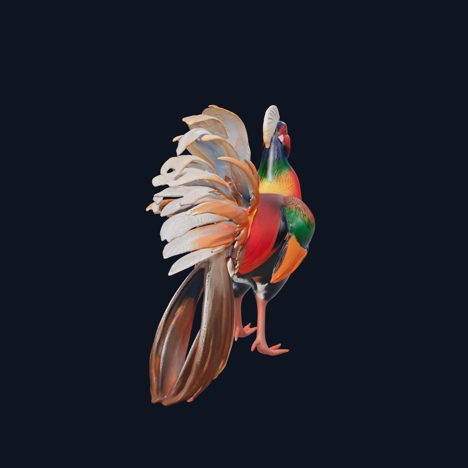Vibrant Pheasant model pack