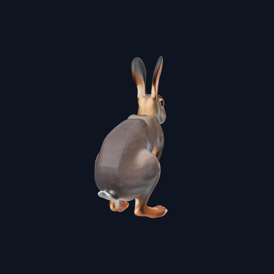Realistic Rabbit Fur model pack