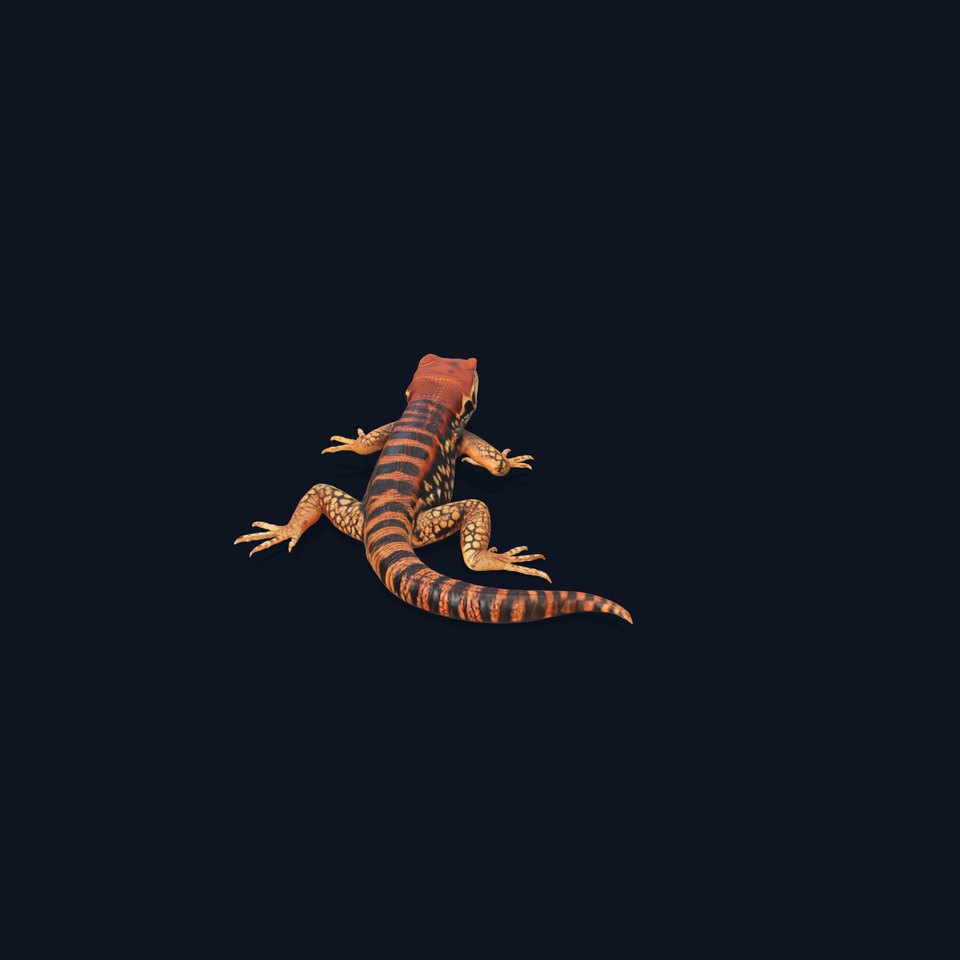 Striped Lizard Model Pack