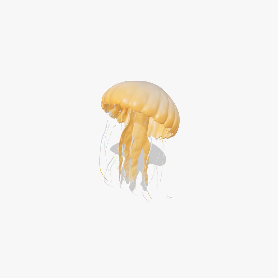 Elegant Jellyfish model pack viewer poster