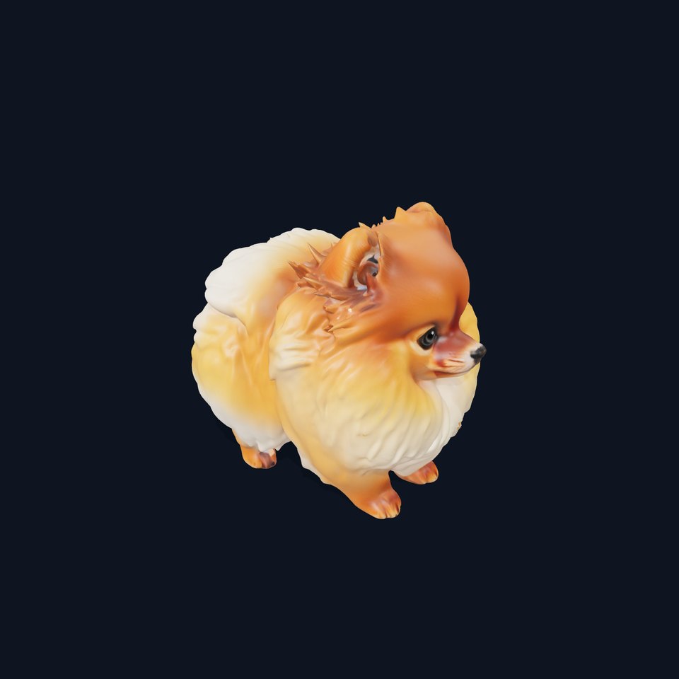 Fluffy Pomeranian Dog model pack