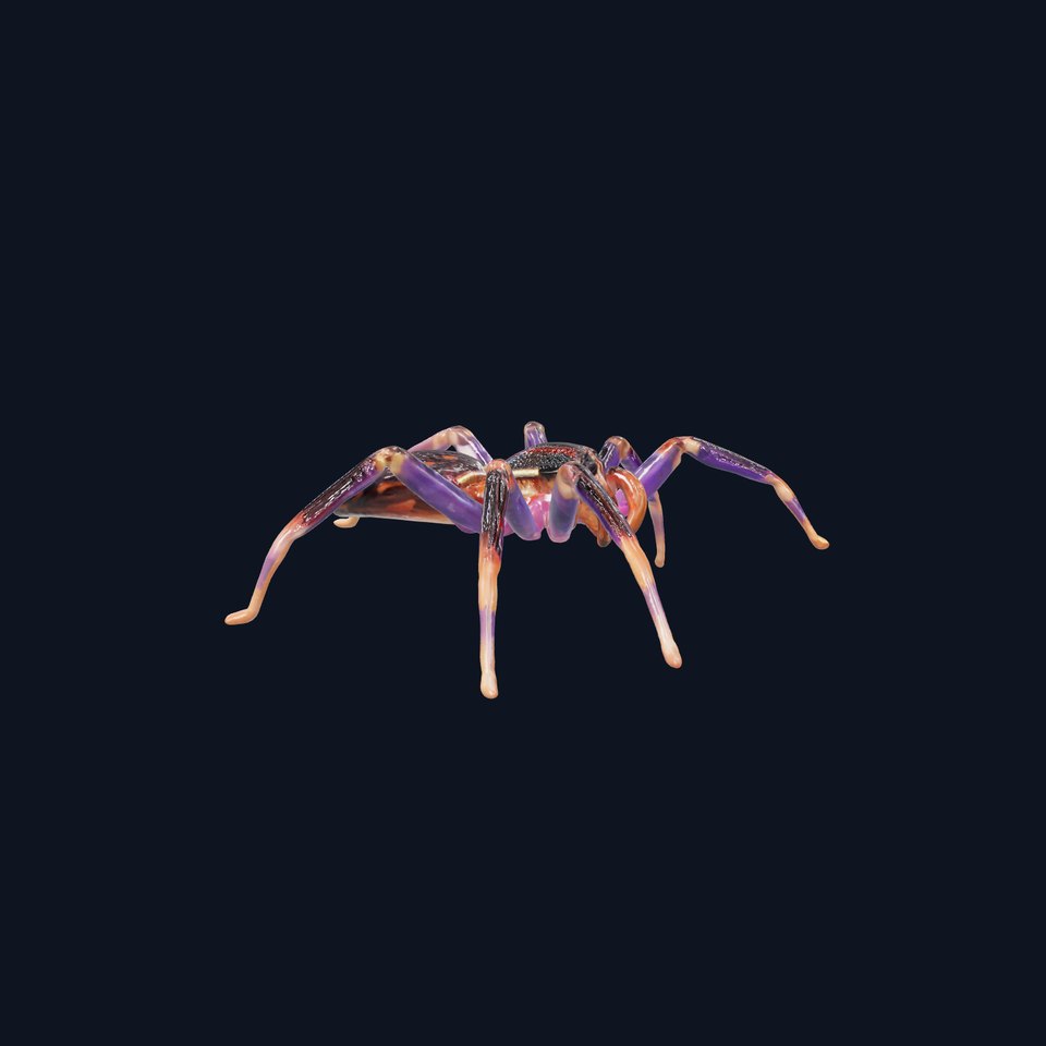 Vibrant Jungle Spider model pack