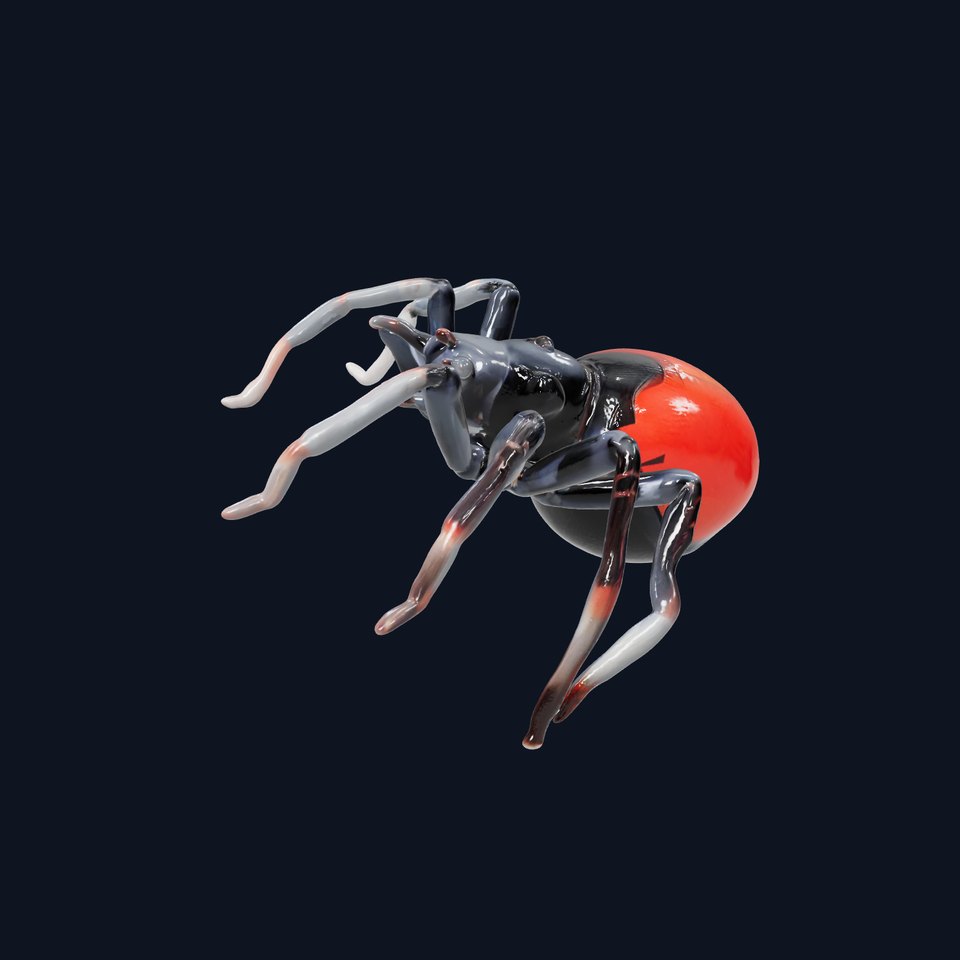 Red Back Spider model pack