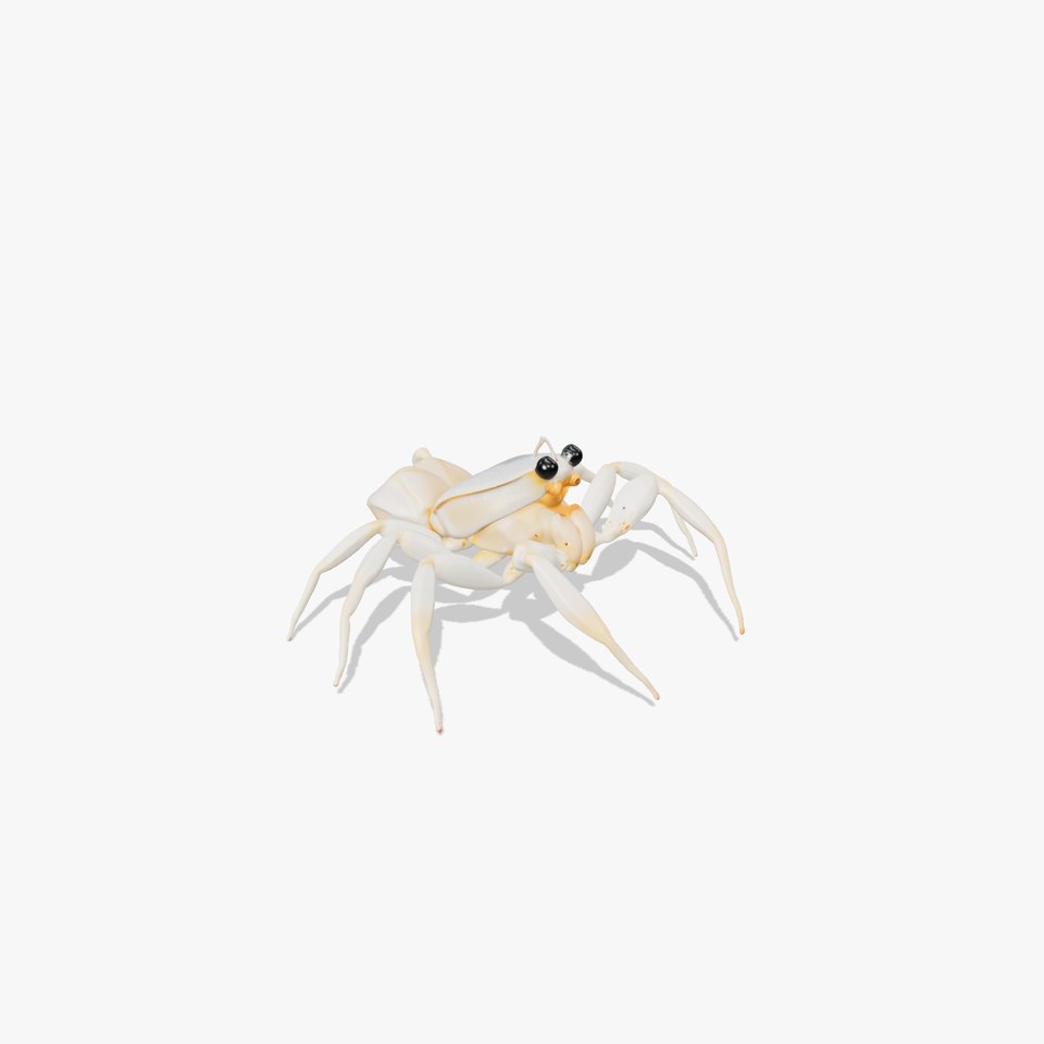 White Crab model pack viewer poster