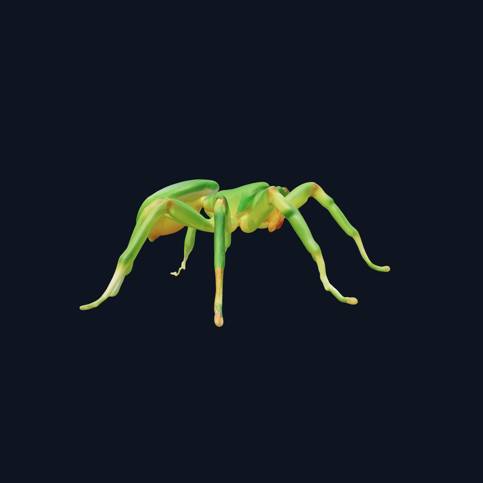 Vibrant Green Spider model pack