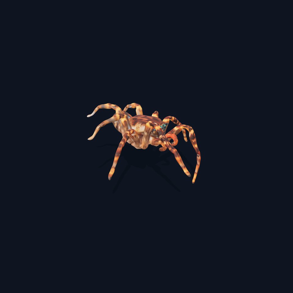 Spotted Tarantula model pack