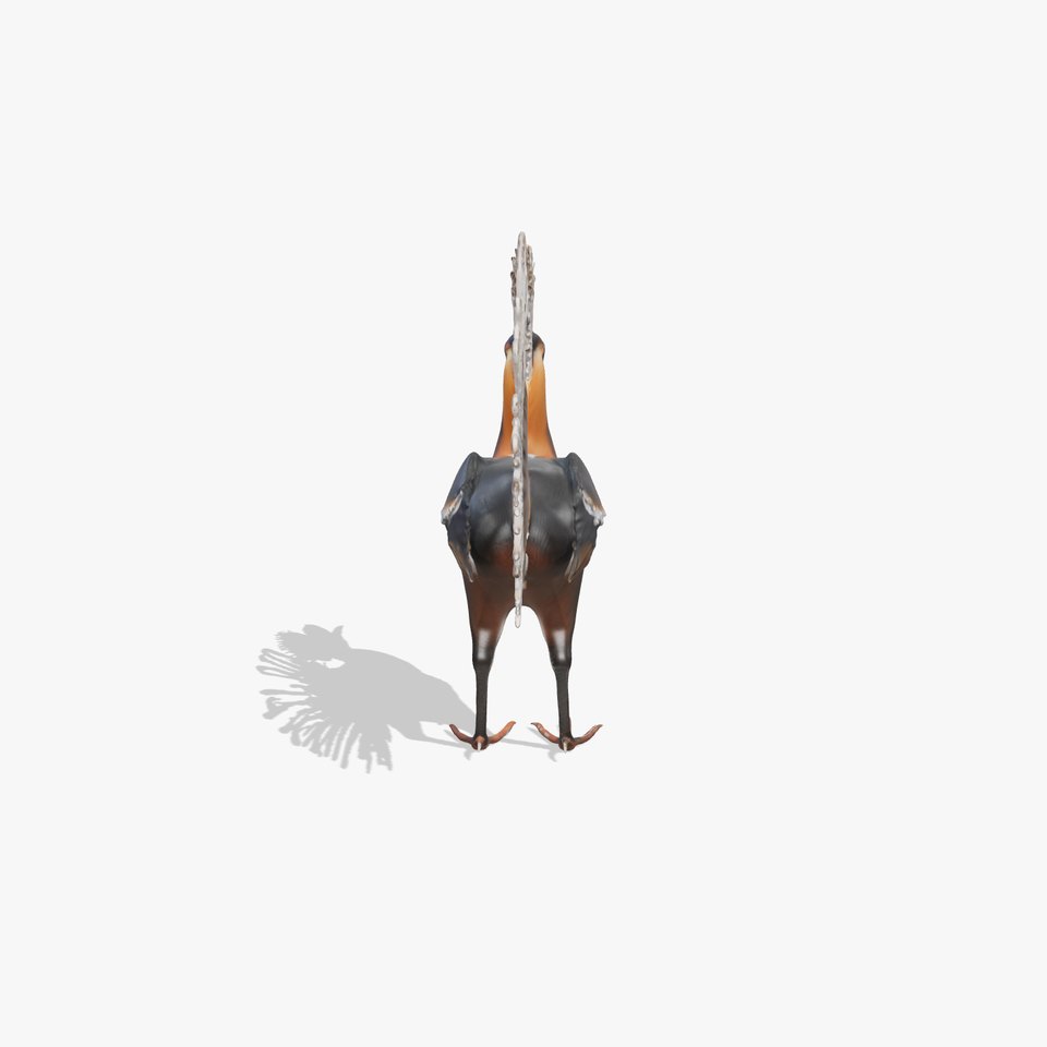 Elegant Crested Bird model pack