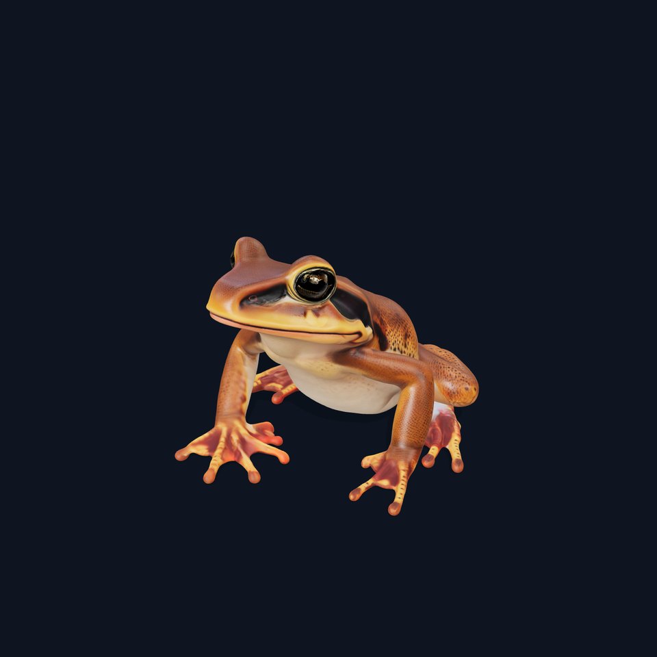 Golden Tree Frog model pack