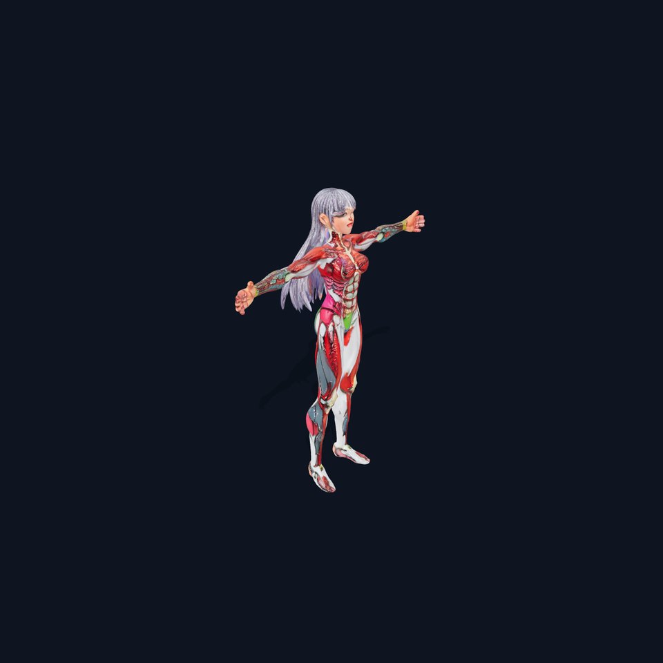 Anatomical Female Figure model pack