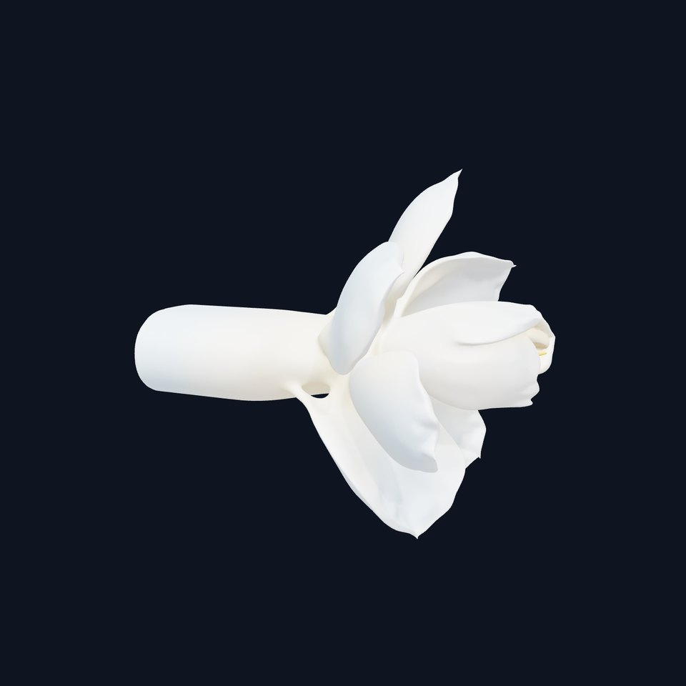 Gardenia Blossom model pack