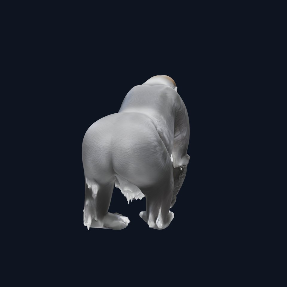 Realistic Gorilla 3D Model with Detailed Fur and Anatomy viewer poster