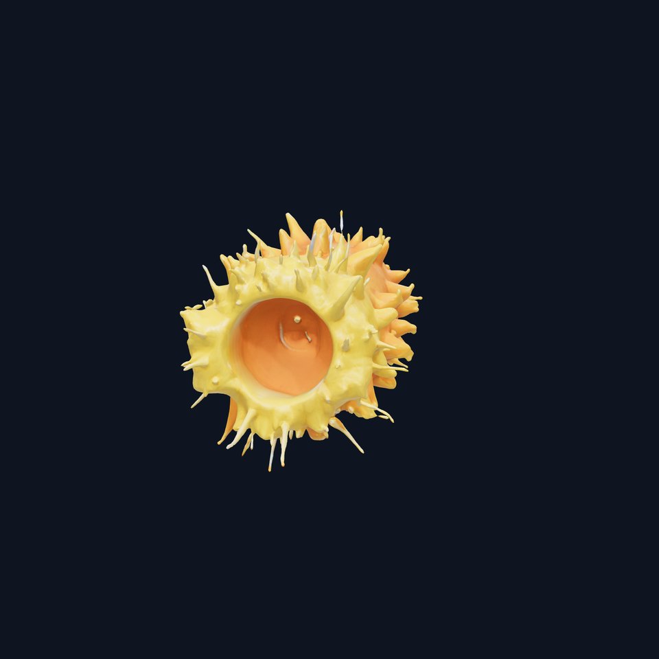 Sea Apple 3D Model with Tubular Body and Feathery Structures viewer poster