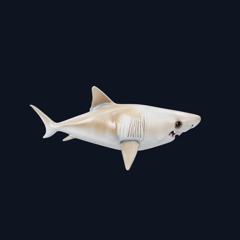 Ghost Shark Model with Sharp Teeth and Ghostly Coloration viewer poster