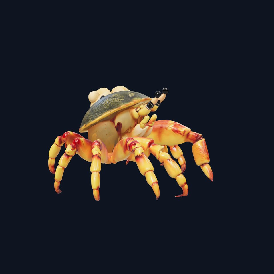 Realistic Hermit Crab with Borrowed Shell 3D Model viewer poster