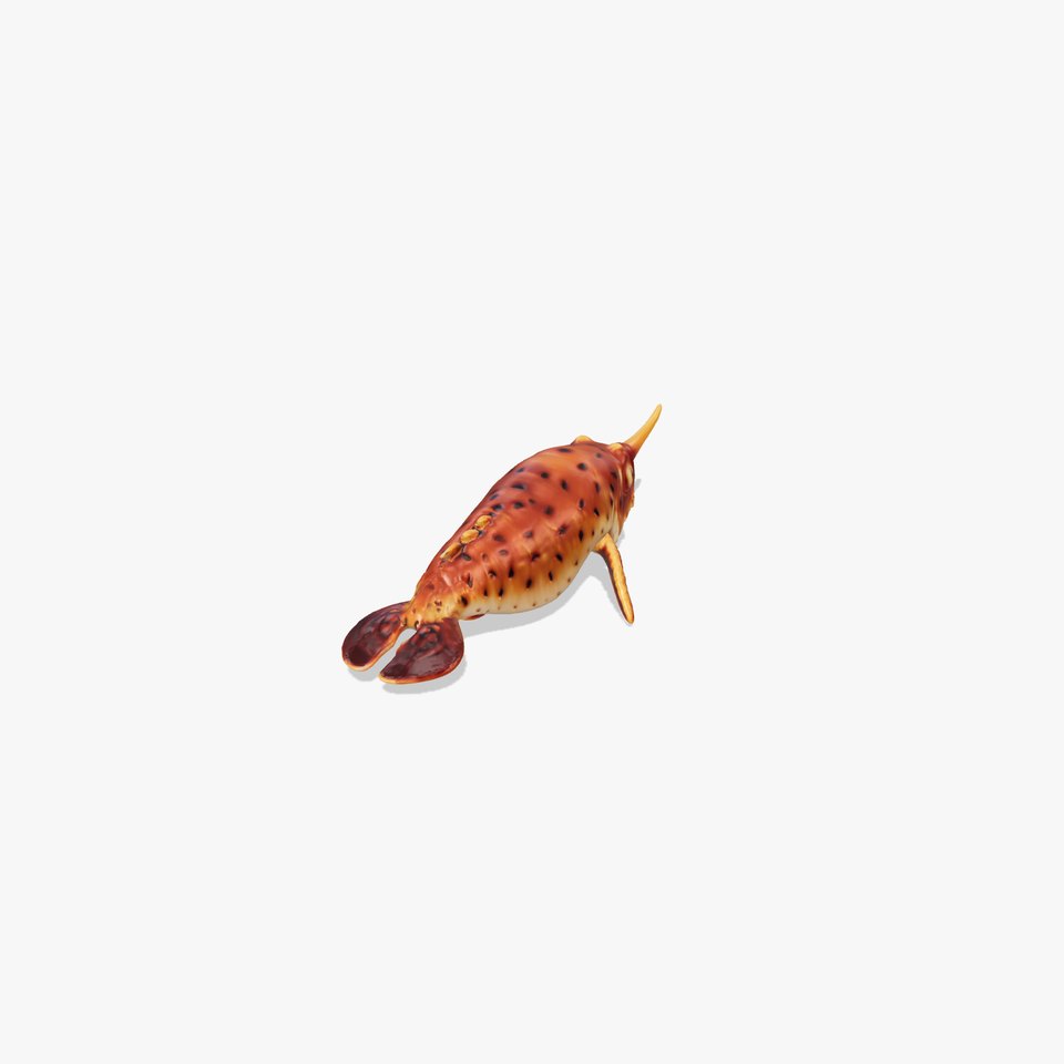 Sea Hare with Ear-Like Rhinophores 3D Model viewer poster