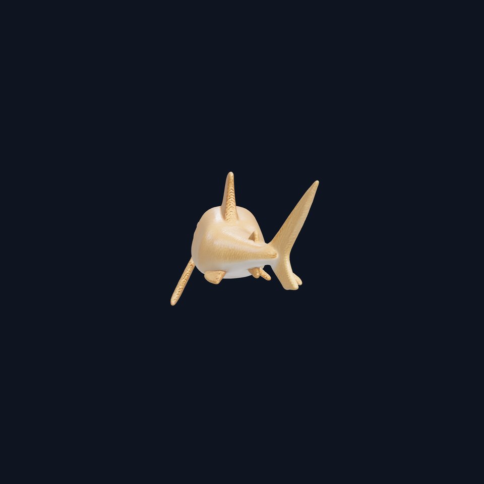 Wobbegong Shark 3D Model with Carpet-like Texture viewer poster